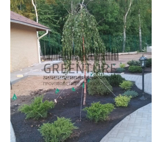 Озеленение участка загородного дома - фото - 2