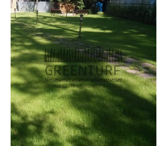 Озеленение частного домовладения - фото - 15