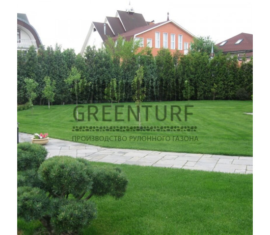 Устройство рулонного газона в частном доме - фото - 4